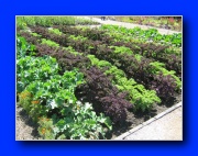 Zum Vergrern anklicken